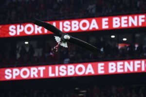 Benfica Perdeu a Oportunidade da Maior Venda do Mercado no Último Dia