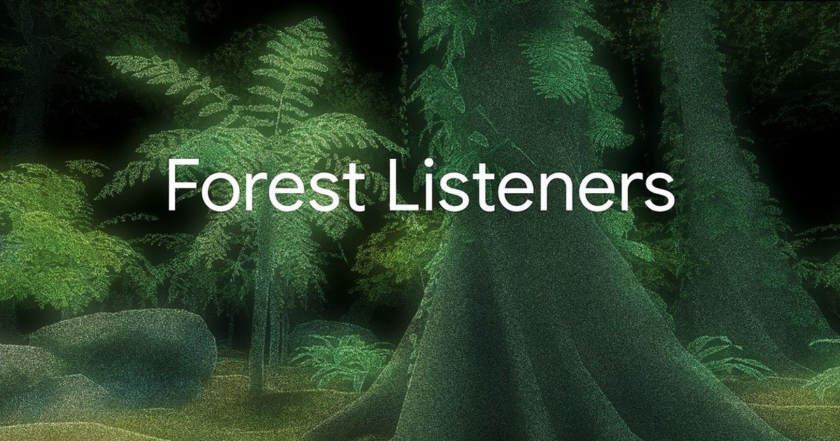 Ouvindo as Florestas: Ajude a Proteger Espécies em Risco nas Florestas Tropicais Brasileiras