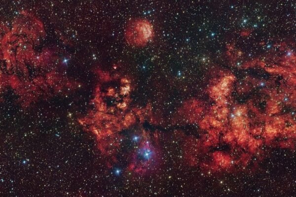 Morcegos e Aranhas no Espaço: Novas Imagens Revelam o Lado Mais Horripilante do Cosmos