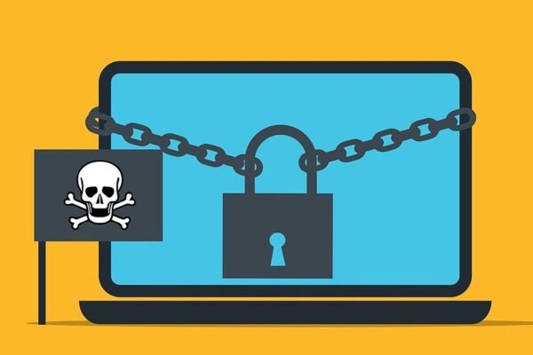 Negócios e Burlas: A Importância da Literacia Financeira nas Redes Sociais