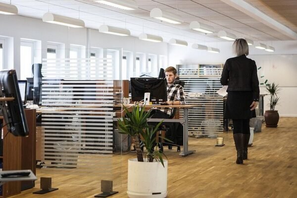 Lince Capital lança novo fundo de 20 milhões de euros para impulsionar inovação em tecnologia e saúde