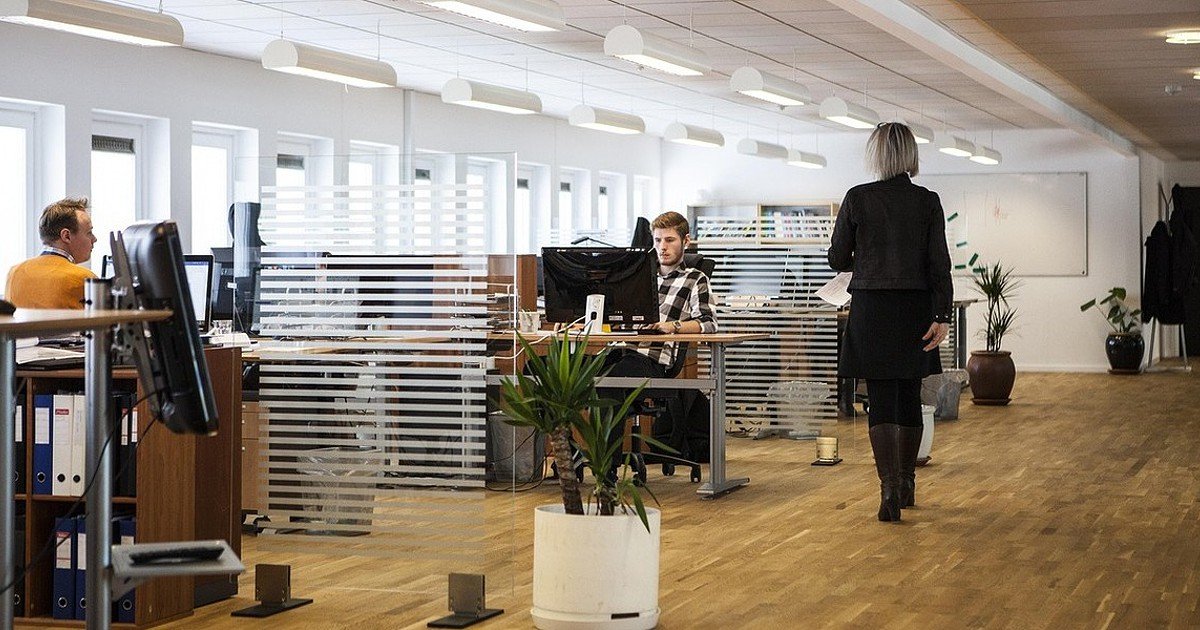 Lince Capital lança novo fundo de 20 milhões de euros para impulsionar inovação em tecnologia e saúde