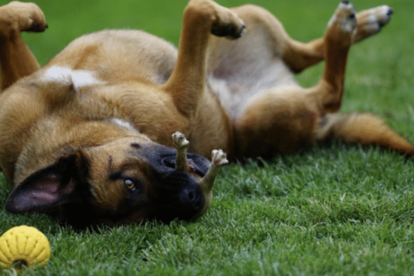 Uma Fotografia, Um Prompt: O Resultado de Um Vídeo Criado por Inteligência Artificial