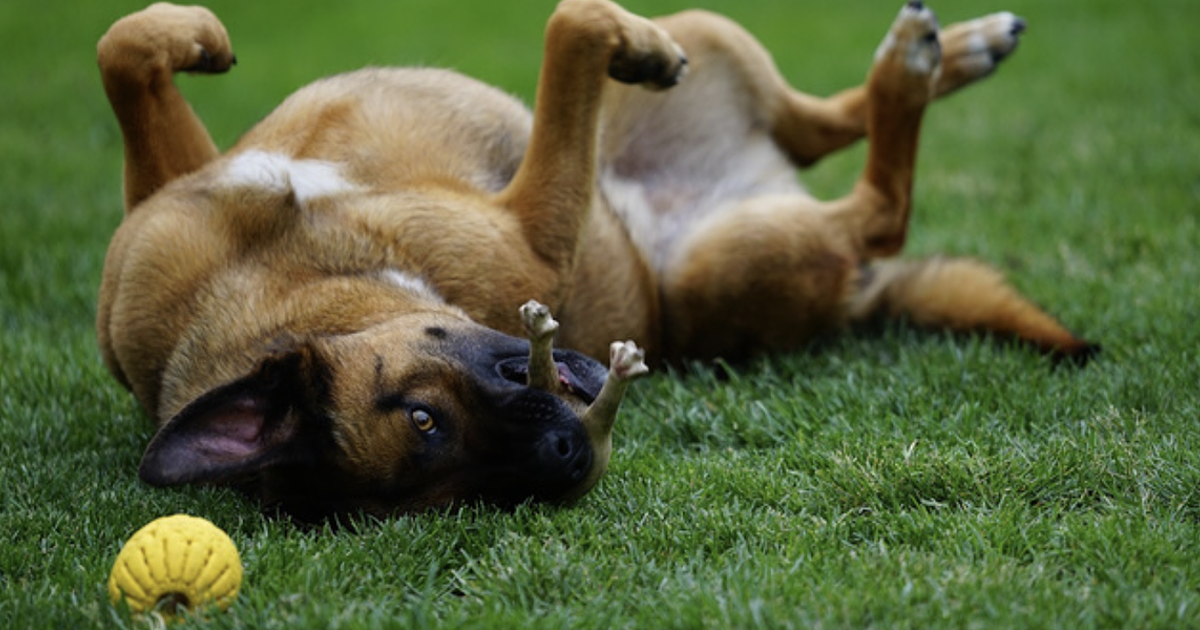 Uma Fotografia, Um Prompt: O Resultado de Um Vídeo Criado por Inteligência Artificial