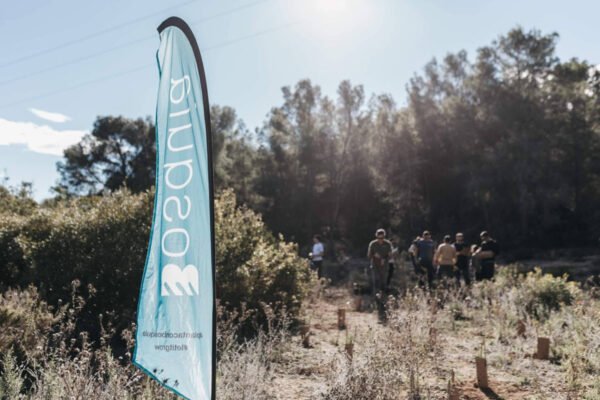 Bosquia se consolida como referência em soluções baseadas na natureza para compensação de CO2