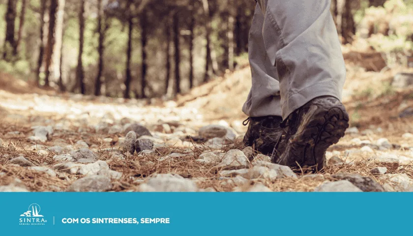 Explorando as Ruínas da Aldeia de Broas: Um Percurso Pedestre Imperdível