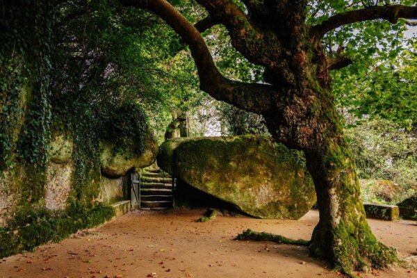 Mata do Convento dos Capuchos: Visita Guiada à Relíquia Natural de Sintra