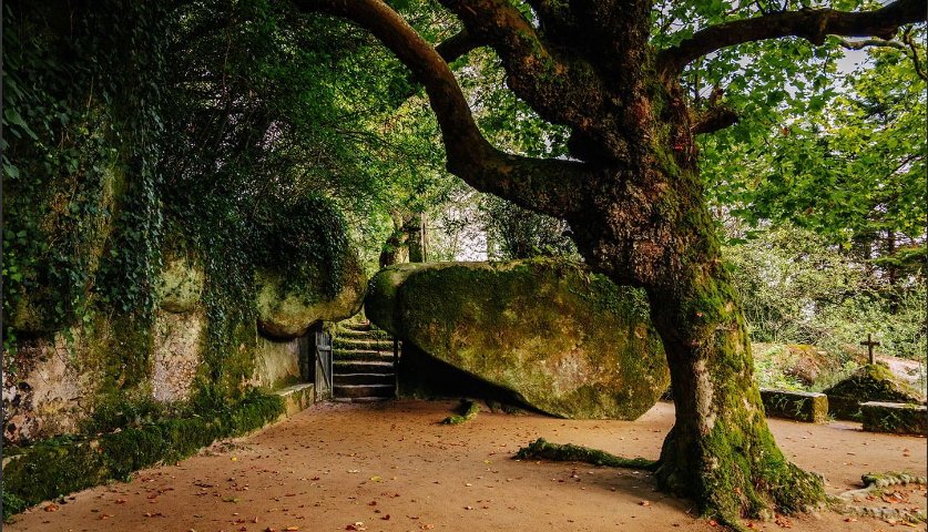 Mata do Convento dos Capuchos: Visita Guiada à Relíquia Natural de Sintra