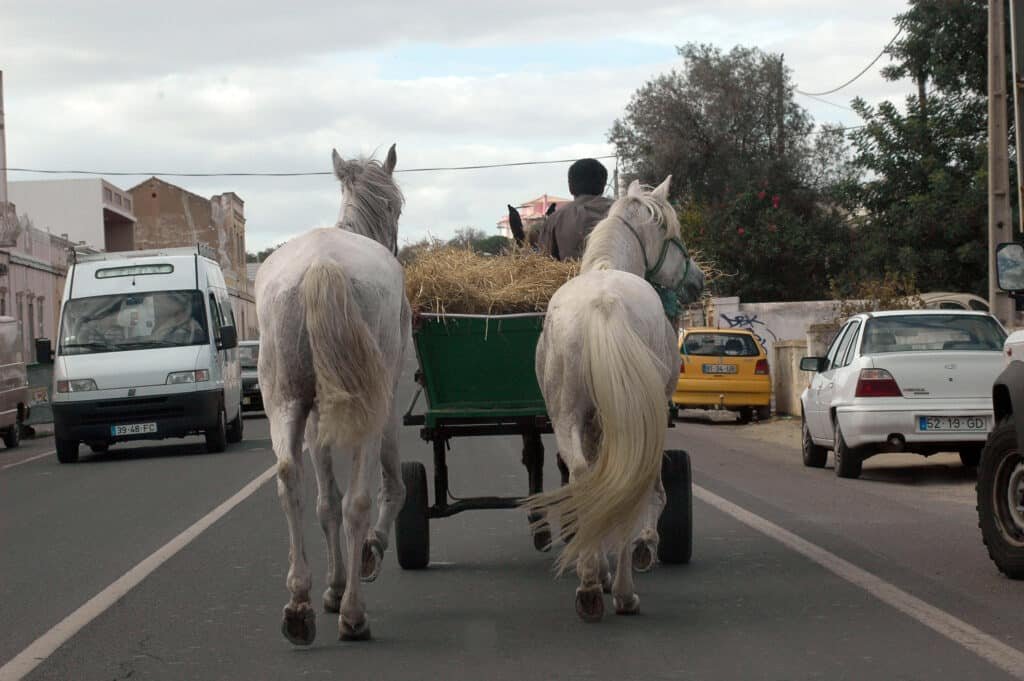 Ciganos n&oacute;madas - Foto BFP