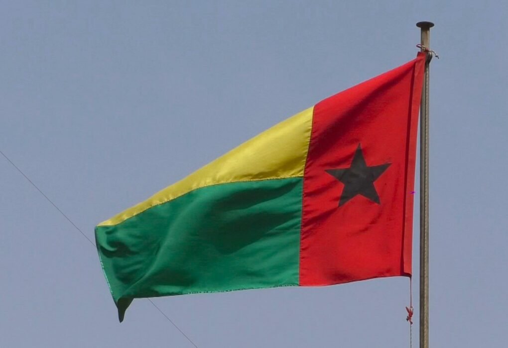 Fernando Dias surge nas presidenciais de Guiné