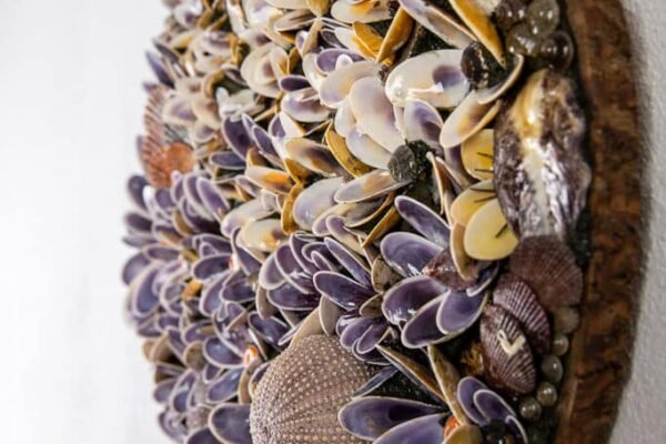 Dana Shell Art