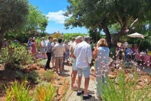 Rotary Club de Silves angaria 1.500