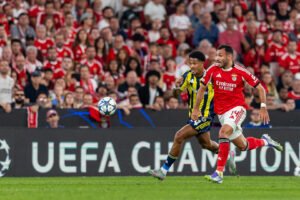 Fenerbahçe Interessa