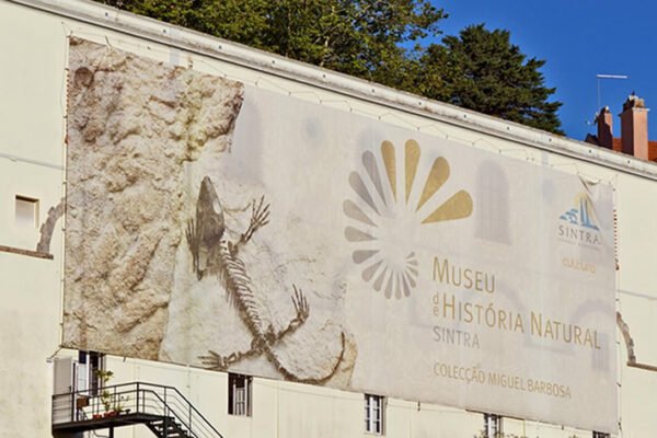 Sintra Celebra o Dia e a Noite dos Museus com Programa Gratuito